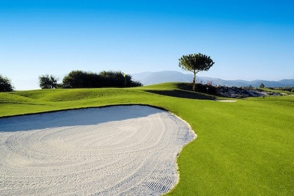 Golf Clubs