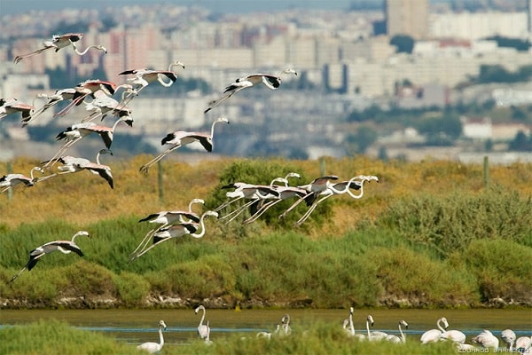 Zoo and Wildlife Parks